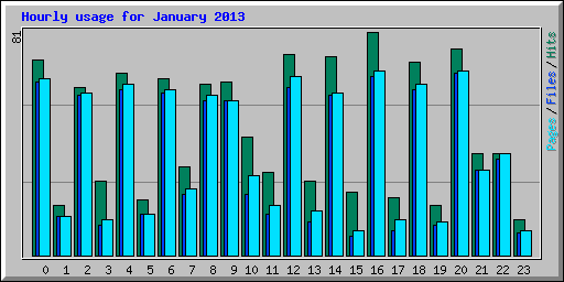 Hourly usage for January 2013